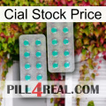 Cial Stock Price 29